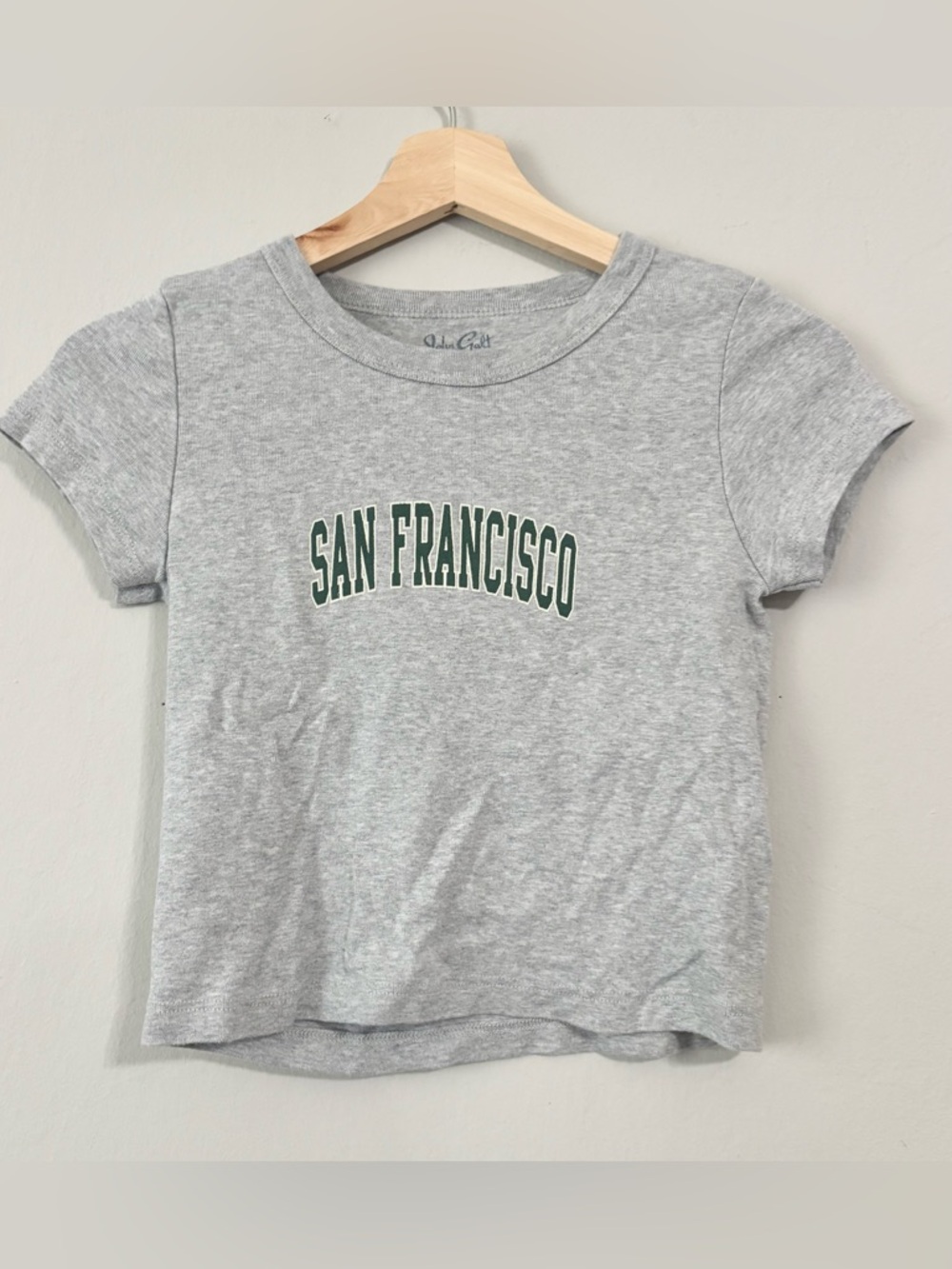 Brandy Melville San Francisco Grey Crop Top Tee